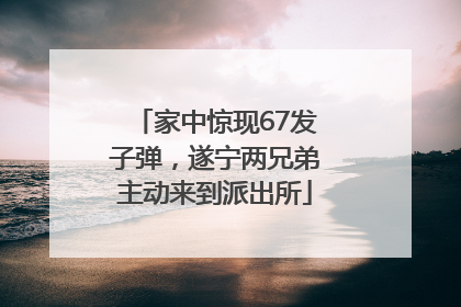 家中惊现67发子弹，遂宁两兄弟主动来到派出所