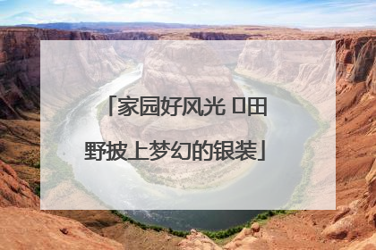家园好风光 ⎮田野披上梦幻的银装