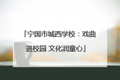 宁国市城西学校：戏曲进校园 文化润童心