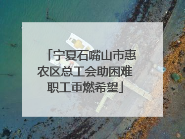 宁夏石嘴山市惠农区总工会助困难职工重燃希望