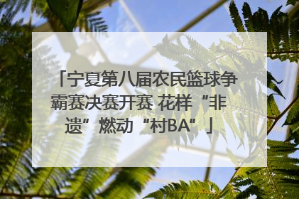 宁夏第八届农民篮球争霸赛决赛开赛 花样“非遗”燃动“村BA”