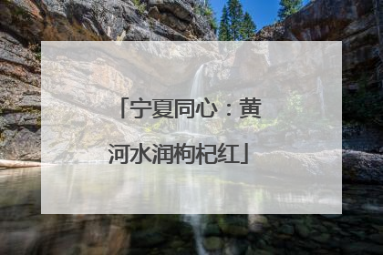 宁夏同心：黄河水润枸杞红