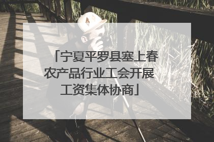 宁夏平罗县塞上春农产品行业工会开展工资集体协商