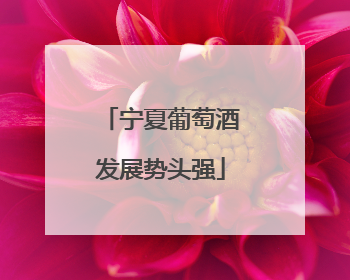 宁夏葡萄酒发展势头强