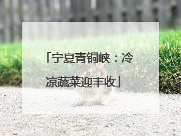宁夏青铜峡：冷凉蔬菜迎丰收