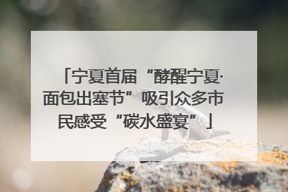 宁夏首届“酵醒宁夏·面包出塞节”吸引众多市民感受“碳水盛宴”