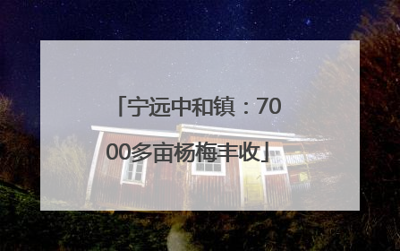 宁远中和镇：7000多亩杨梅丰收