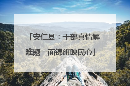 安仁县：干部真情解难题一面锦旗映民心