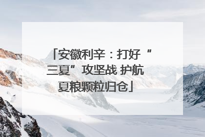 安徽利辛：打好“三夏”攻坚战 护航夏粮颗粒归仓