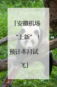 安徽机场“上新”！预计本月试飞
