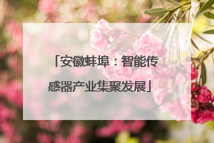 安徽蚌埠：智能传感器产业集聚发展