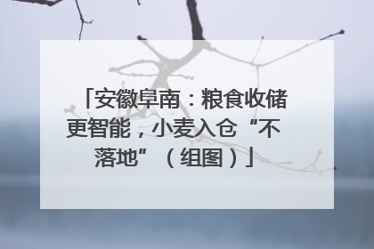 安徽阜南：粮食收储更智能，小麦入仓“不落地”（组图）