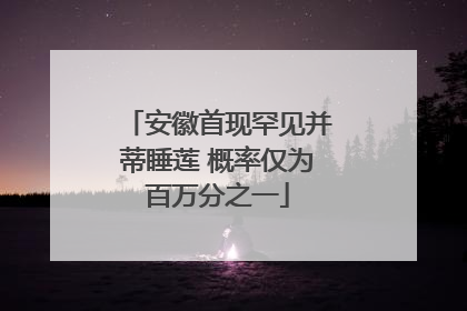 安徽首现罕见并蒂睡莲 概率仅为百万分之一