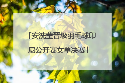 安洗莹晋级羽毛球印尼公开赛女单决赛