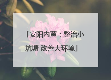 安阳内黄：整治小坑塘 改善大环境