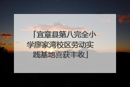 宜章县第八完全小学廖家湾校区劳动实践基地喜获丰收