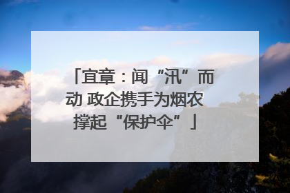 宜章：闻“汛”而动 政企携手为烟农撑起“保护伞”