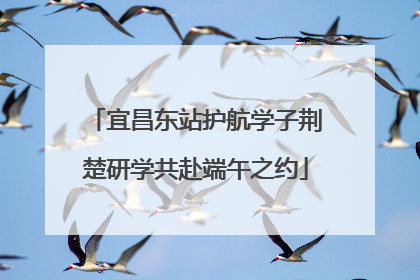 宜昌东站护航学子荆楚研学共赴端午之约