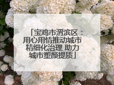 宝鸡市渭滨区：用心用情推动城市精细化治理 助力城市塑颜提质