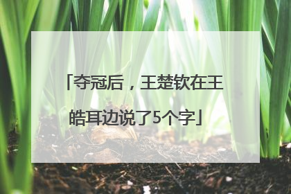 夺冠后，王楚钦在王皓耳边说了5个字
