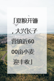 夏粮开镰，大兴长子营镇近6000亩小麦迎丰收