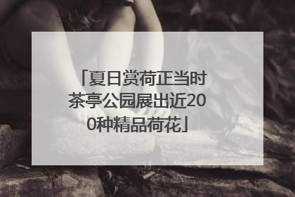 夏日赏荷正当时 茶亭公园展出近200种精品荷花
