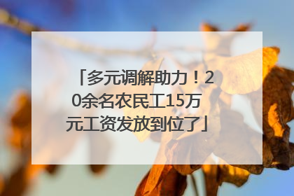多元调解助力！20余名农民工15万元工资发放到位了