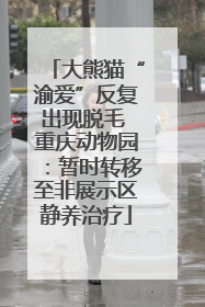 大熊猫“渝爱”反复出现脱毛 重庆动物园：暂时转移至非展示区静养治疗