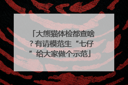 大熊猫体检都查啥？有请模范生“七仔”给大家做个示范