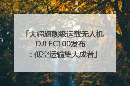大疆旗舰级运载无人机DJI FC100发布：低空运输集大成者