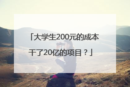 大学生200元的成本干了20亿的项目？