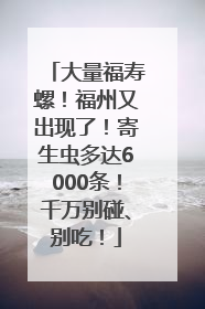 大量福寿螺！福州又出现了！寄生虫多达6000条！千万别碰、别吃！