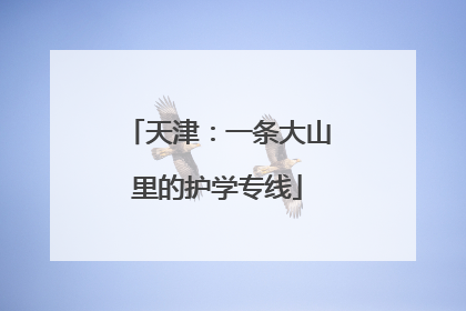 天津：一条大山里的护学专线