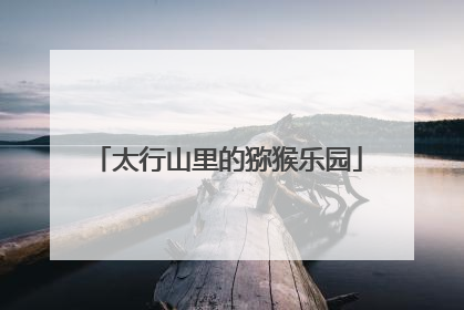 太行山里的猕猴乐园