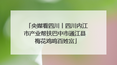 央媒看四川丨四川内江市产业帮扶巴中市通江县 梅花鸡鸣百姓富