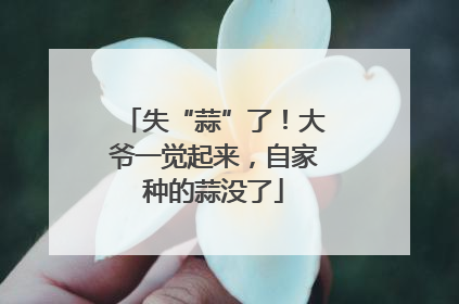 失“蒜”了！大爷一觉起来，自家种的蒜没了