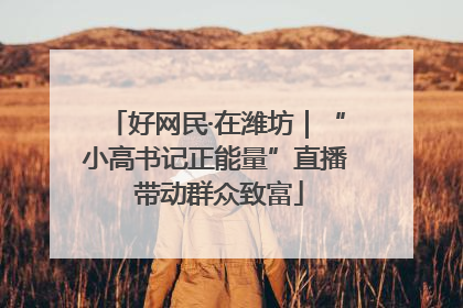 好网民·在潍坊｜“小高书记正能量”直播 带动群众致富