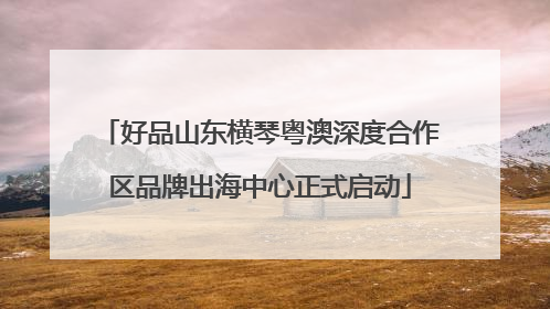 好品山东横琴粤澳深度合作区品牌出海中心正式启动