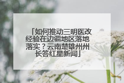 如何推动三明医改经验在边疆地区落地落实？云南楚雄州州长答红星新闻