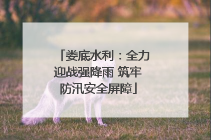 娄底水利：全力迎战强降雨 筑牢防汛安全屏障