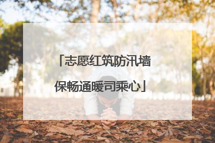 志愿红筑防汛墙 保畅通暖司乘心