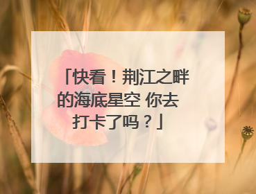 快看！荆江之畔的海底星空 你去打卡了吗？