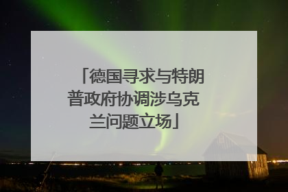 德国寻求与特朗普政府协调涉乌克兰问题立场