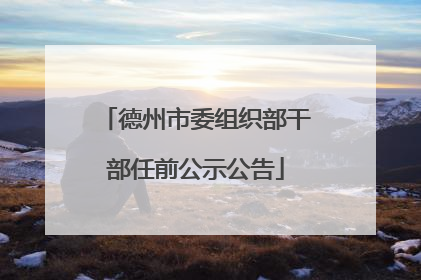 德州市委组织部干部任前公示公告