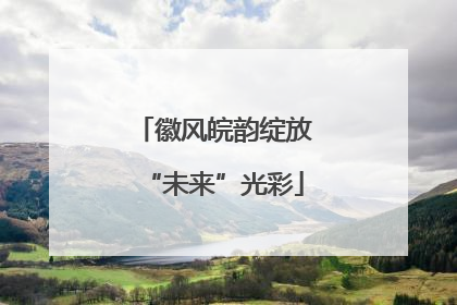 徽风皖韵绽放“未来”光彩
