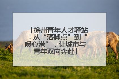徐州青年人才驿站：从“落脚点”到“暖心港”，让城市与青年双向奔赴