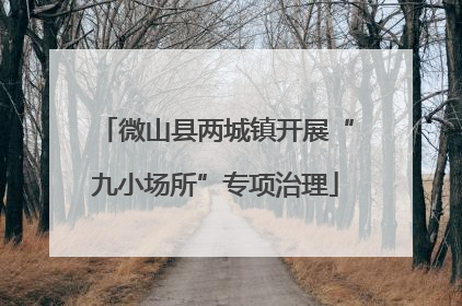 微山县两城镇开展“九小场所”专项治理