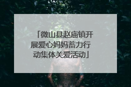 微山县赵庙镇开展爱心妈妈蓄力行动集体关爱活动