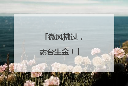微风拂过，露台生金！