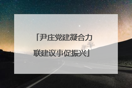 尹庄党建凝合力 联建议事促振兴